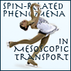 Spin-Related Phenomena in Mesoscopic Transport
