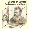 Course in Lattice Boltzmann Methods for Simulation of Complex Phenomena Across Scales