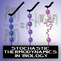 Stochastic Thermodynamics in Biology