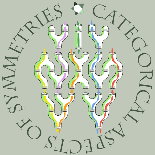 Categorical aspects of symmetries
