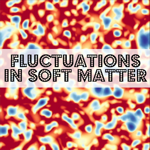 Fluctuations in Soft Matter: Theory Meets Experiment at Large-Scale Research Infrastructures