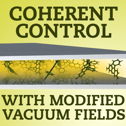 Coherent Control with Modified Vacuum Fields